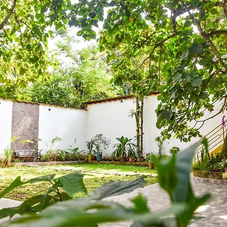 Green House Тарапото Экстерьер фото