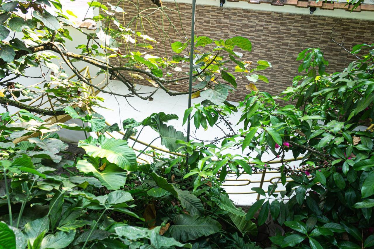 Green House Тарапото Экстерьер фото